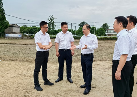 胡云赴眉山调研耕地；；；；；；な褂煤透弑曜寂┨锝ㄉ枋虑