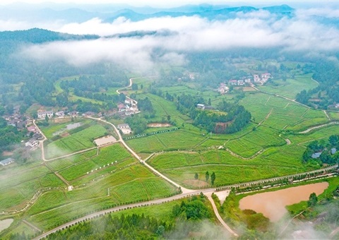 遂宁市守住耕地“命脉” &nbsp;沃野千里织漂亮