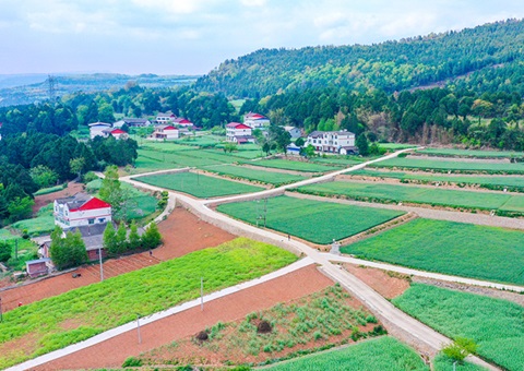 广元市推行“卫星田长”科技助力精准保唬；；；；；じ