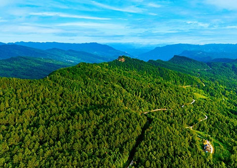 四川宣布第4号总林长令&nbsp;&nbsp;周全深化整体林权制度刷新