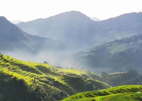 综合施策 协同发力｜贵州省严肃攻击私挖盗采矿产资源违法行为