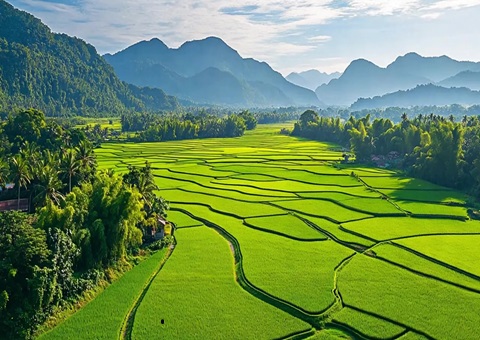 “自然资源+税务”协同共治！崇左筑牢耕地保；；；；；；び胨笆铡八赖亍