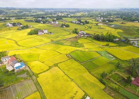 四川省遂宁市局多行动增强暂时用地审批服务与管理