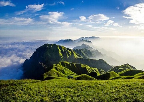 江西安福坳上林场走出“两山”转化多元路径