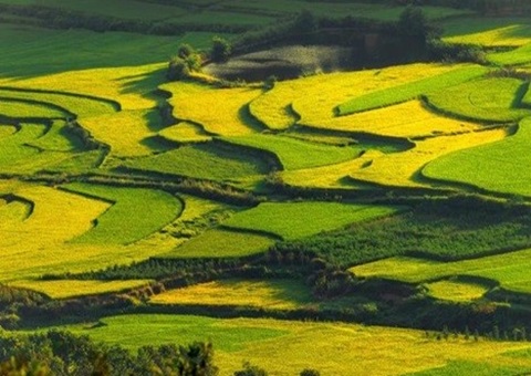 四川宣布第二批重大项目节地案例 推动土地资源高效集约使用