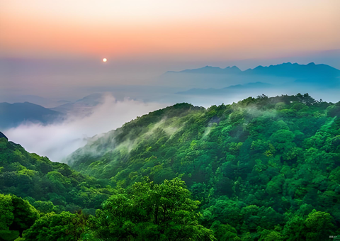 福建森林提质四放纵措打造黎民“幸福浚浚？？？可健