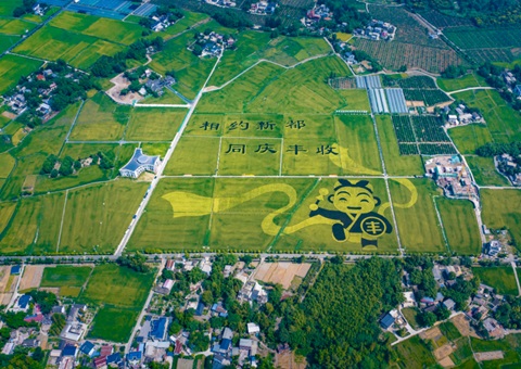 成都宣布耕地；；；；；；；；ね耄∥蠢10年这样筑牢“天府粮仓”基本