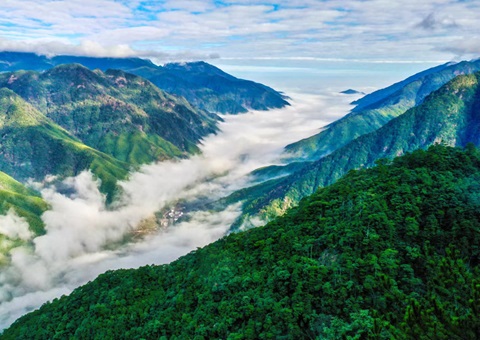 “组合包”，，，，，，，，流通生态产品价值转化