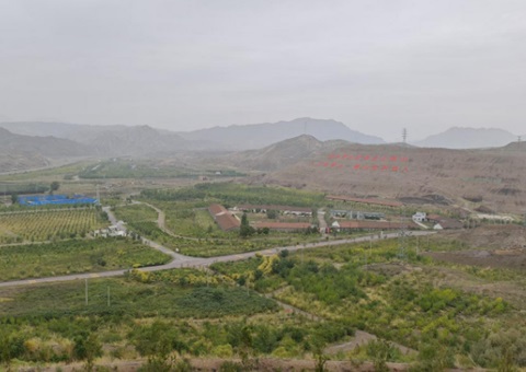 宁夏一连拉动“三山”生态；；；；；；；ば薷础敖忍酢