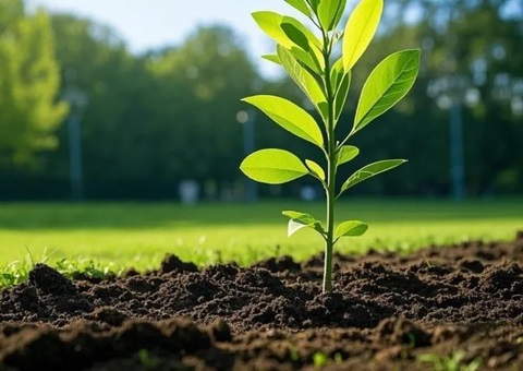 上海首提大型生态空间单位，，，，，，，2035年妄想林地面积147万亩