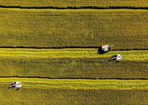 辽宁省耕地地力保唬唬唬唬；そ蛱曜汲鎏