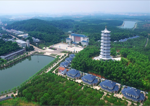 湖北：用好“一张图” ，，，，，，，智治有支持