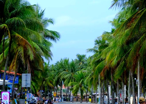 建“清凉都会”，，，，，，海南有何“凉方”?