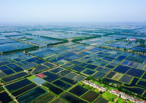湖北潜江规范产权生意&nbsp;&nbsp;滩田身价翻7倍
