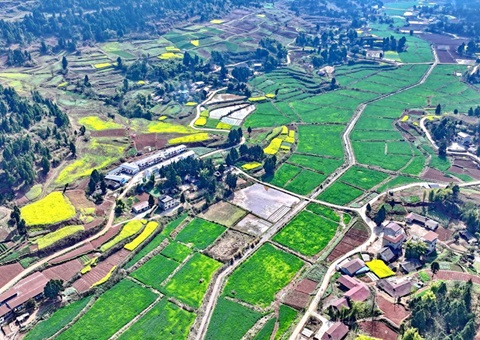 四川省周全推进耕地林地园地空间治理“一张图”建设