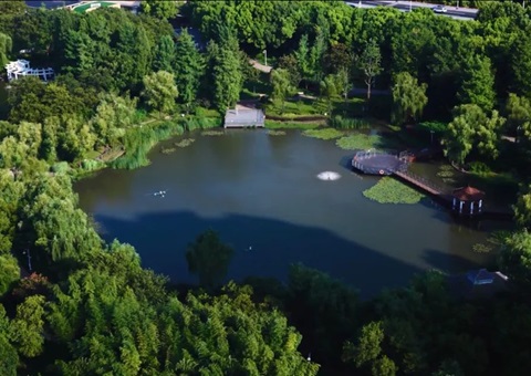 上海修订林长制配套制度为下层减负