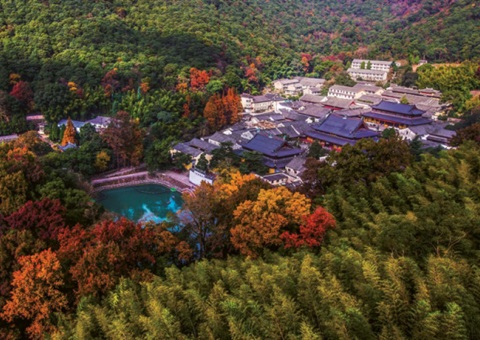 浙江：森林公园生态旅游怎样高质量生长？？？？？？？