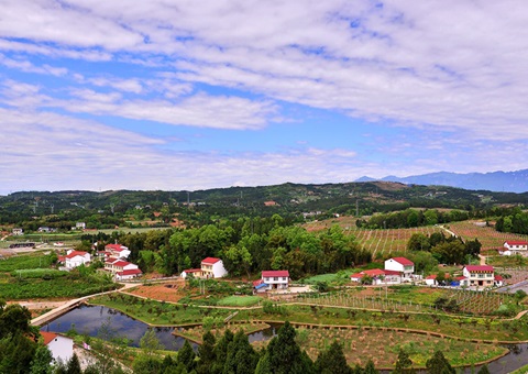 河南：2026年年底前实现墟落地区妄想管理全笼罩