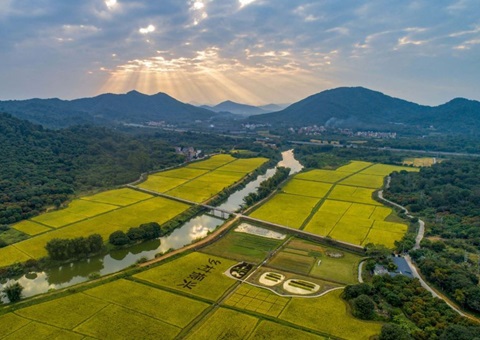 立异财务支持 培育典范项目 | 广东省建设“补改投”支持全域土地综合整治机制