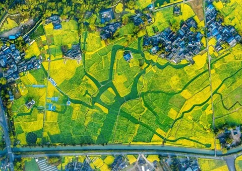 崇州市局出台墟落地区“通则式”妄想管理划定&nbsp;&nbsp;为墟落治理提供妄想支持