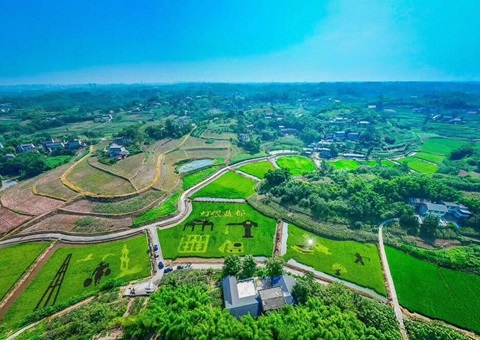 护航墟落生长！自贡市出台墟落振兴用地指南